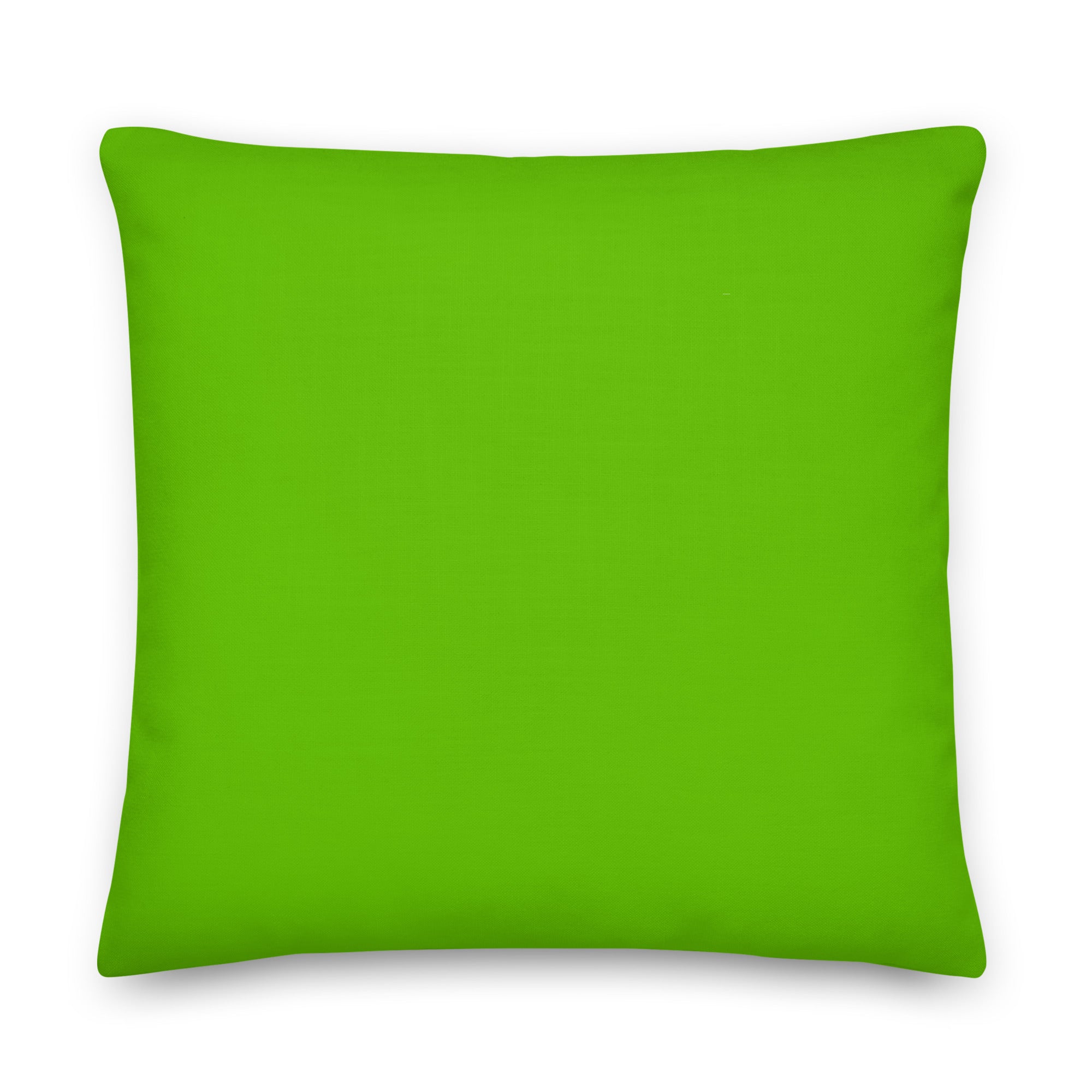 I Believe In Equality For All Pillow
