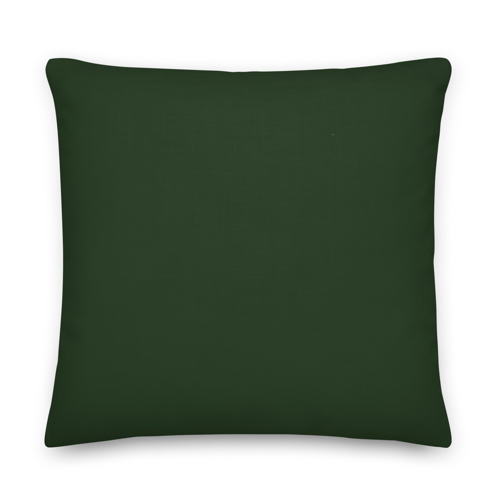 I Like Girls Pillow