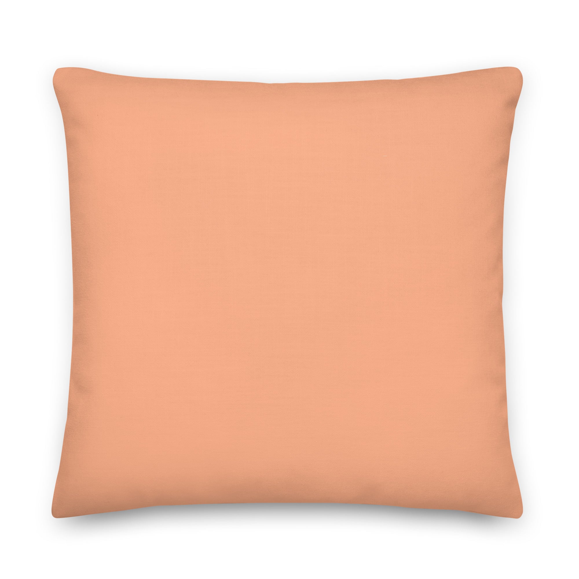 Liberals For Gay Space Socialism Pillow