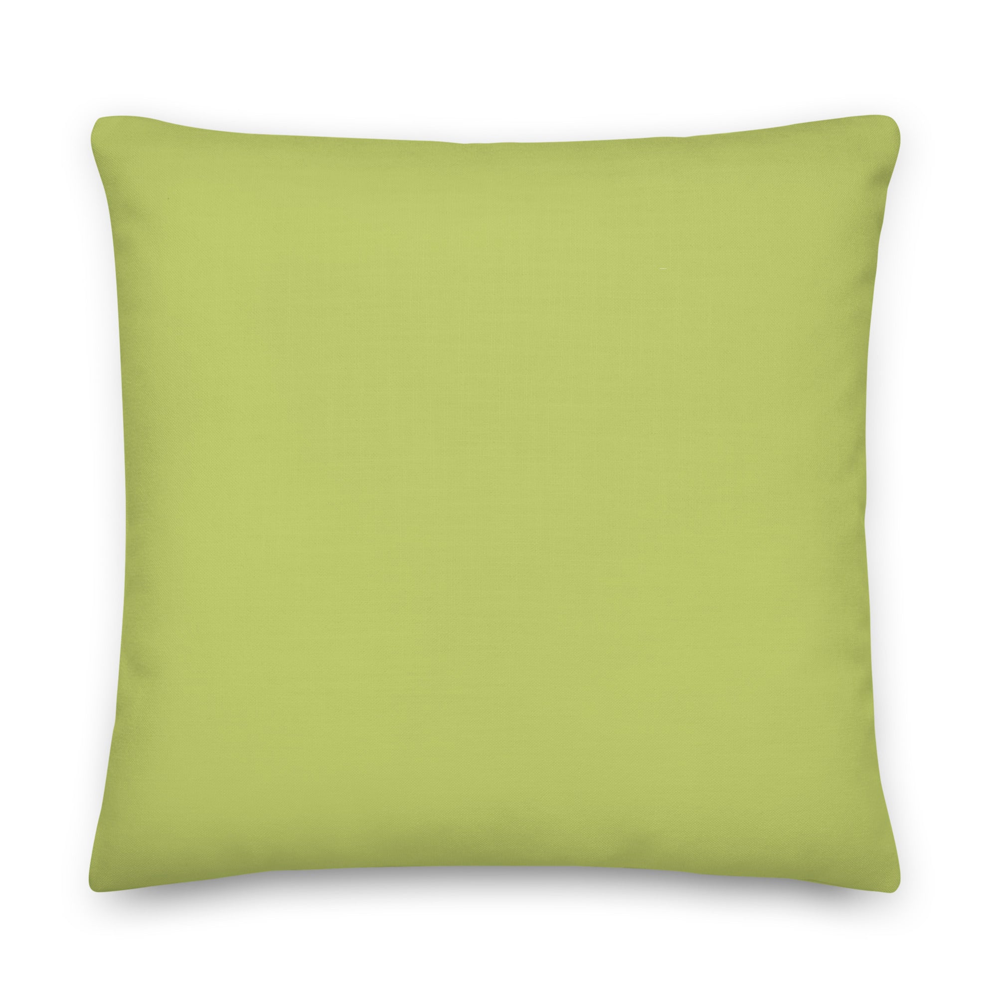 Love Is Love Rainbow Pillow