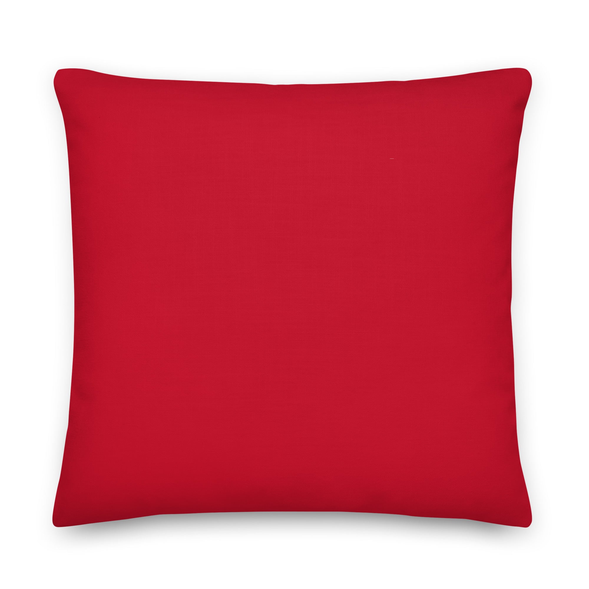 Rip Rbg Pillow