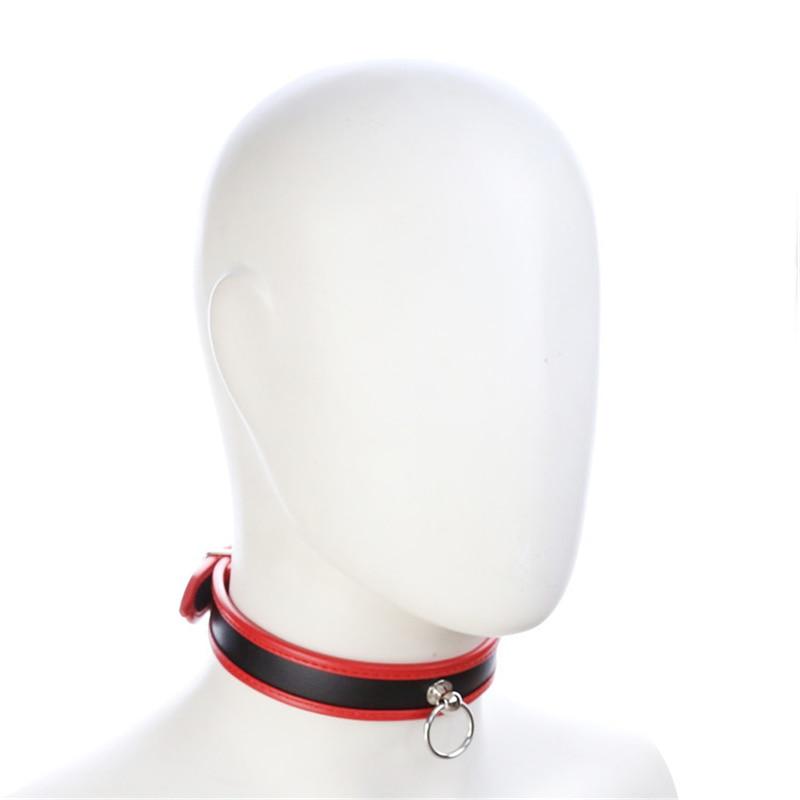 BDSM Slave / Puppy Collar - The RainbowBoys