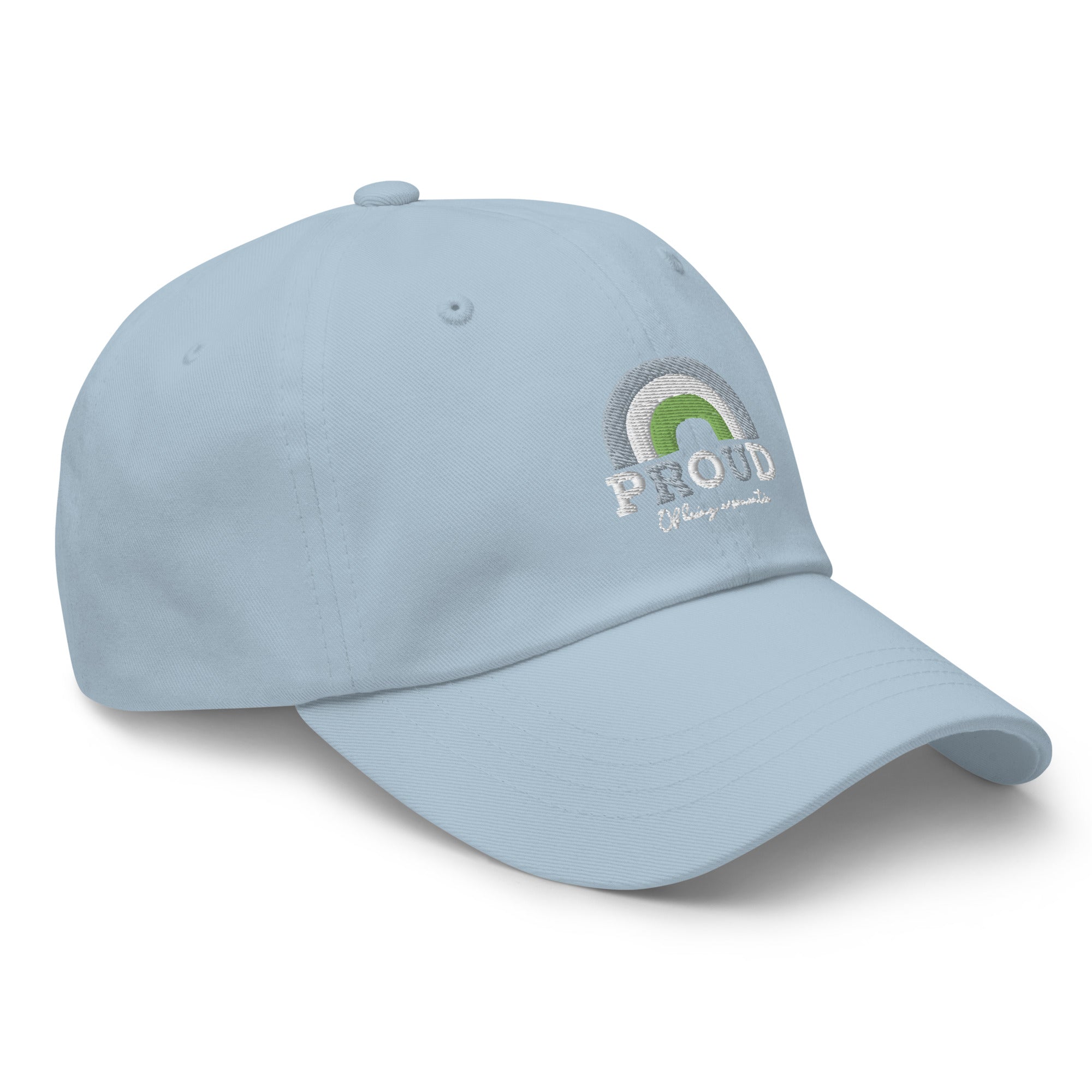 Proud Of Being Aromantic Cap