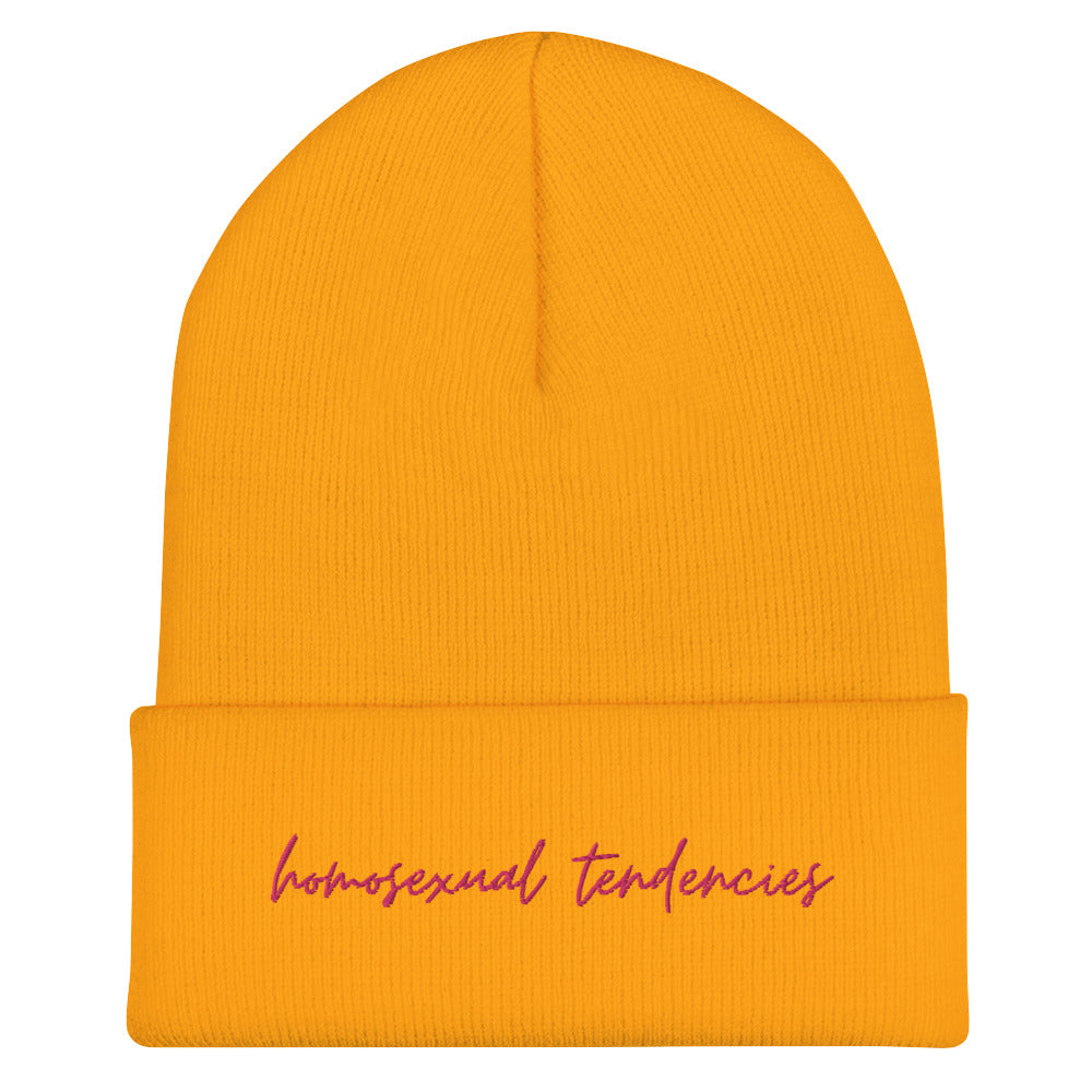 Homosexual Tendencies Cuffed Beanie