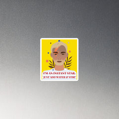 I'm an Instant Star Magnet