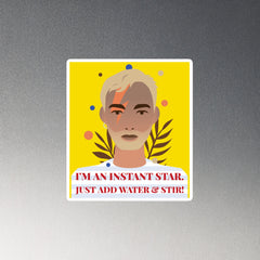 I'm an Instant Star Magnet