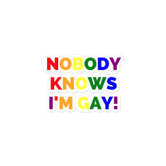 Nobody Knows I'm Gay! Bubble-Free Stickers