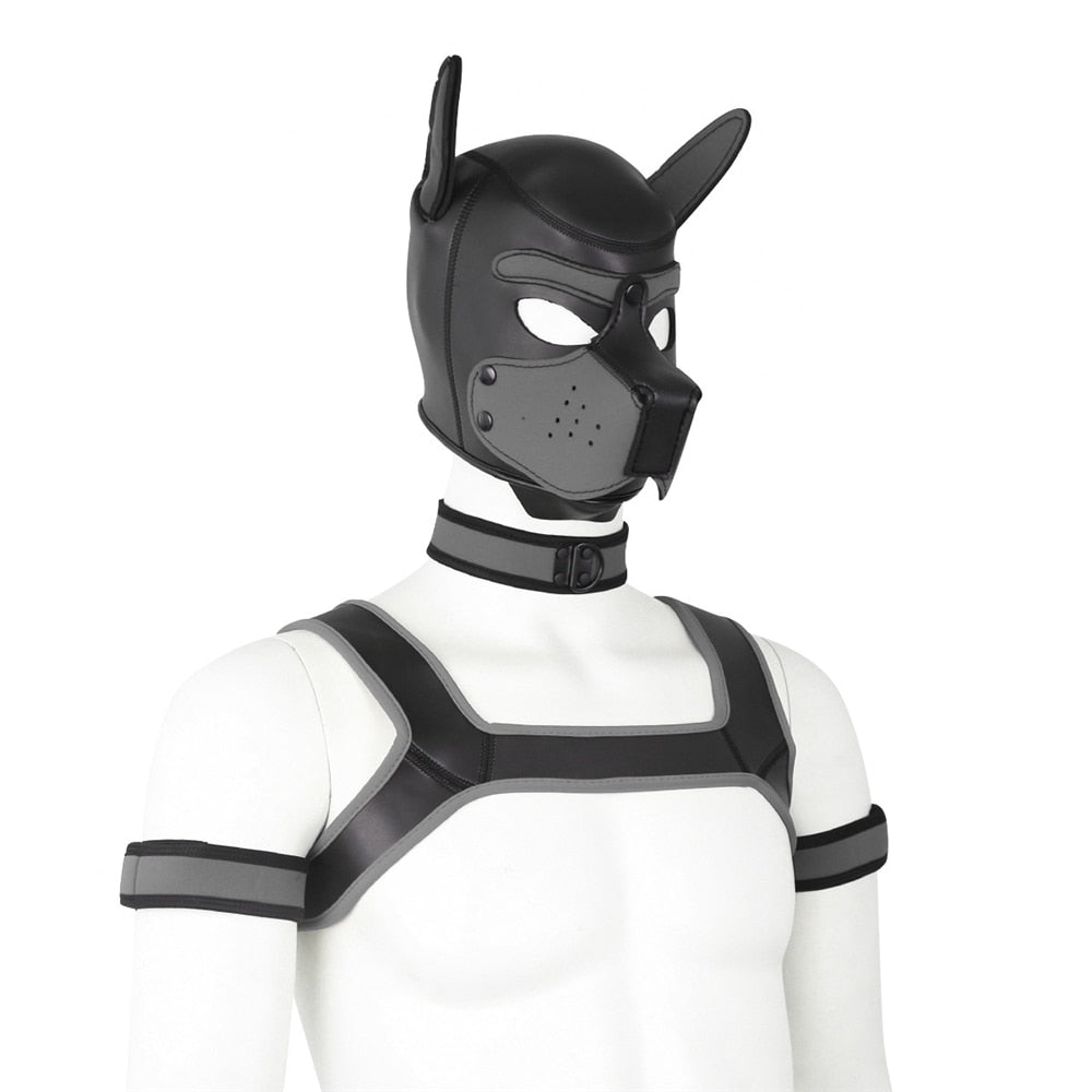 Neoprene Gay Pup Gear Starter Kit - The RainbowBoys