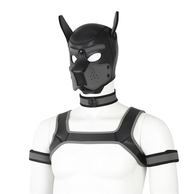 Neoprene Gay Pup Gear Starter Kit - The RainbowBoys