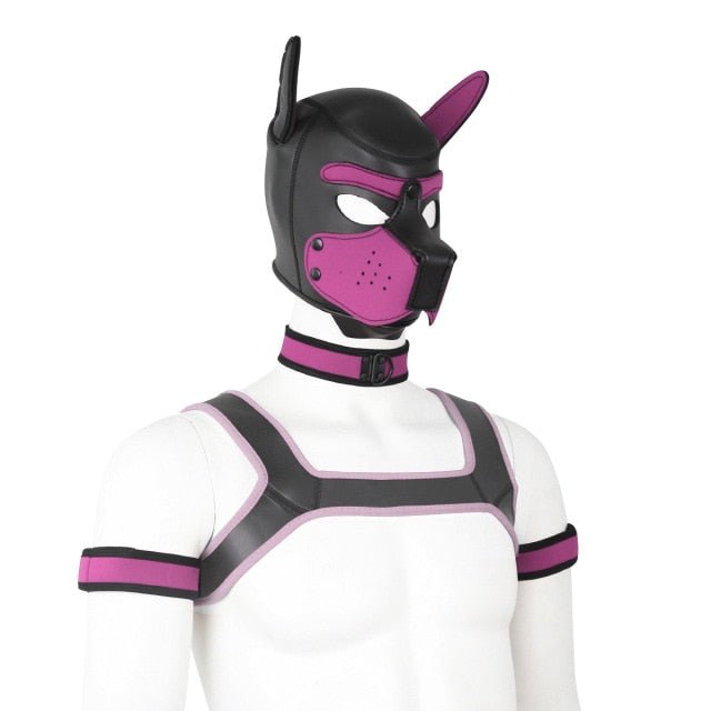 Neoprene Gay Pup Gear Starter Kit - The RainbowBoys