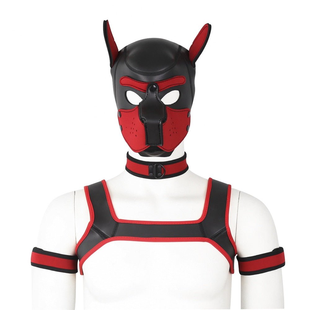 Neoprene Gay Pup Gear Starter Kit - The RainbowBoys