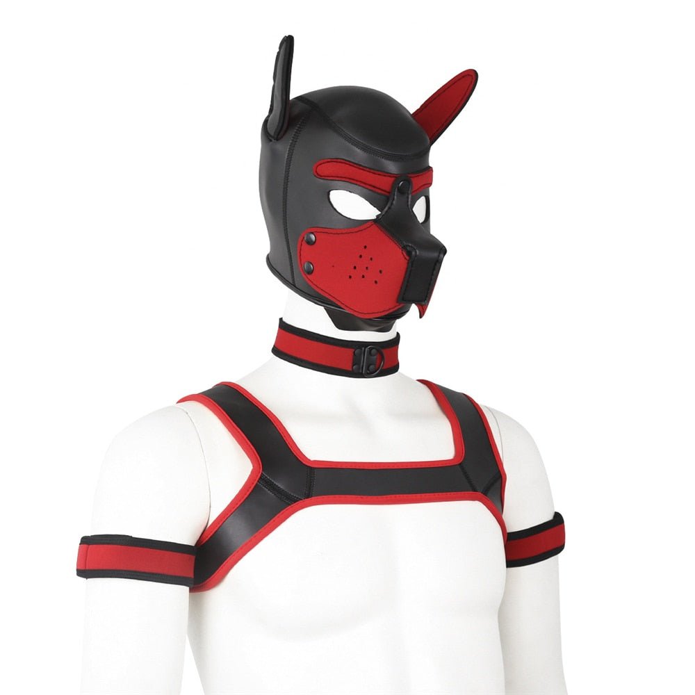 Neoprene Gay Pup Gear Starter Kit - The RainbowBoys