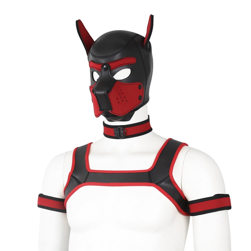 Neoprene Gay Pup Gear Starter Kit - The RainbowBoys