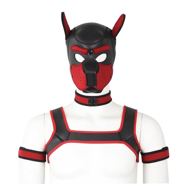 Neoprene Gay Pup Gear Starter Kit - The RainbowBoys