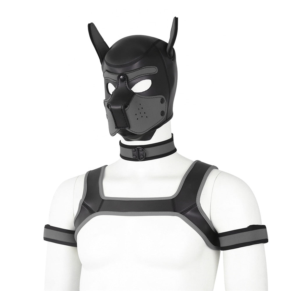 Neoprene Gay Pup Gear Starter Kit - The RainbowBoys