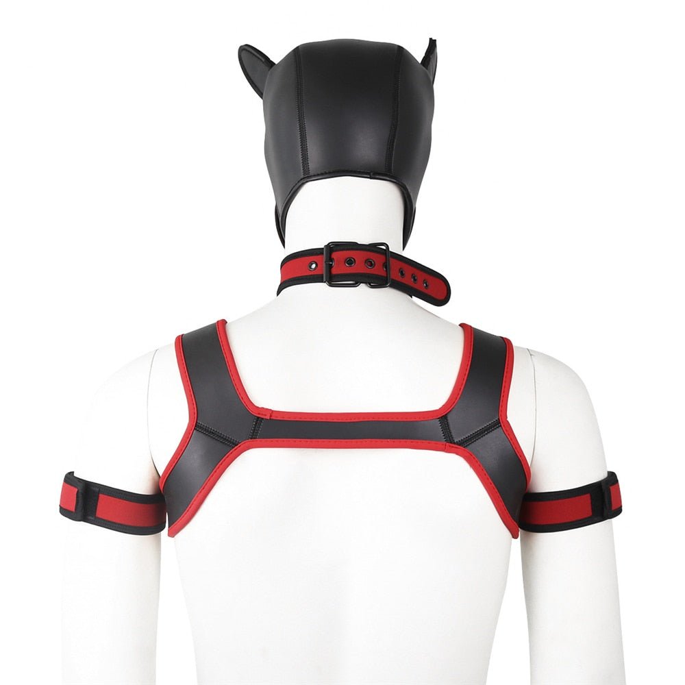 Neoprene Gay Pup Gear Starter Kit - The RainbowBoys
