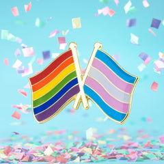One Community Together - Trans + LGBT Flag Enamel Pin - The RainbowBoys