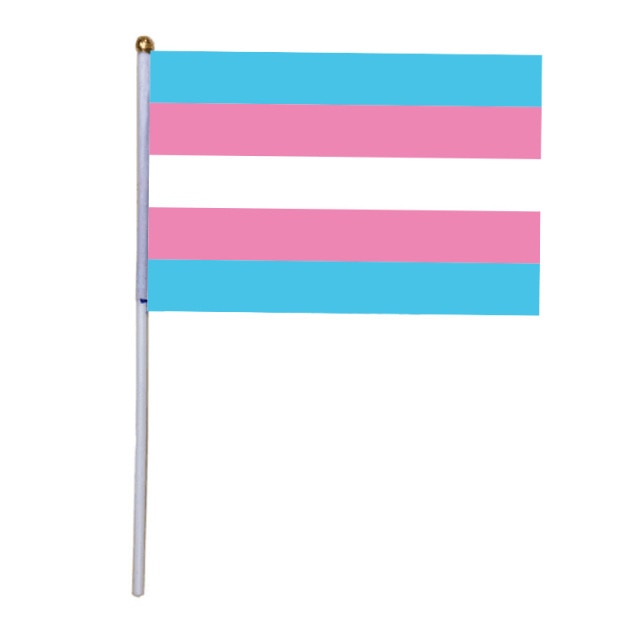 100 x Hand-Held Transgender Pride Flags