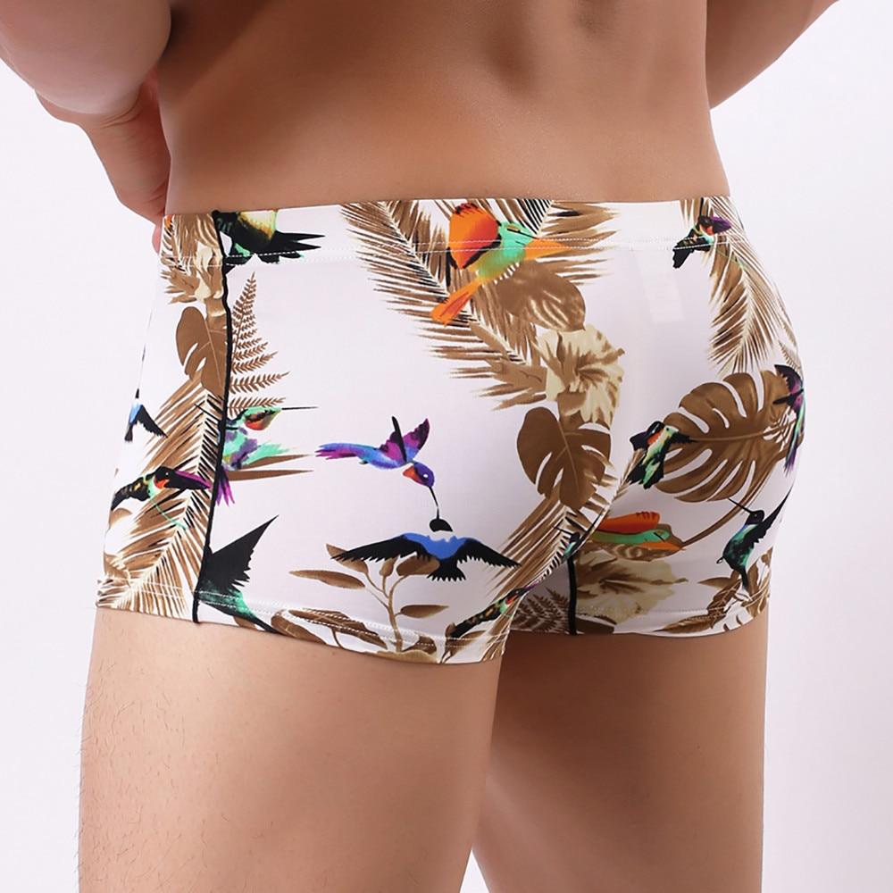 Hummingbird Print Boxers