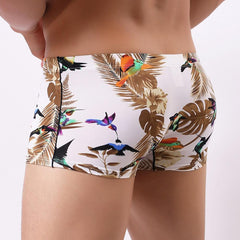 Hummingbird Print Boxers