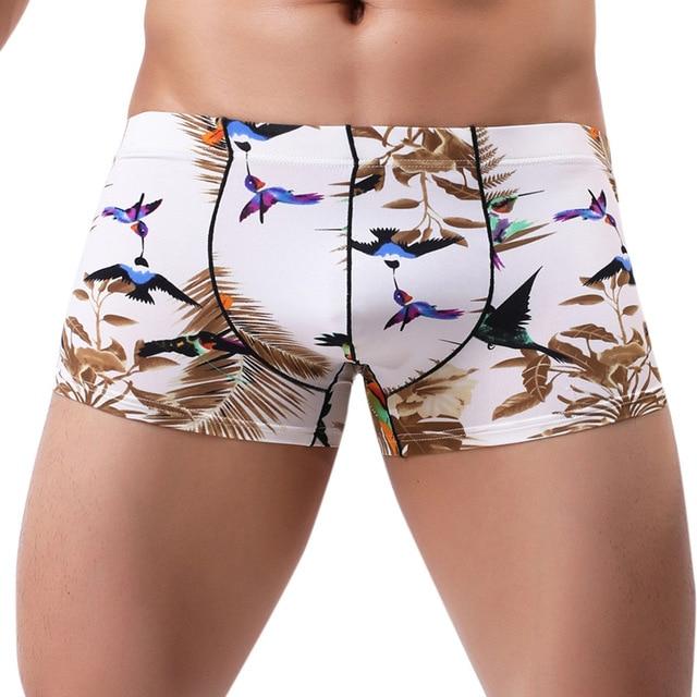 Hummingbird Print Boxers