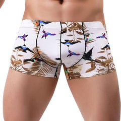 Hummingbird Print Boxers