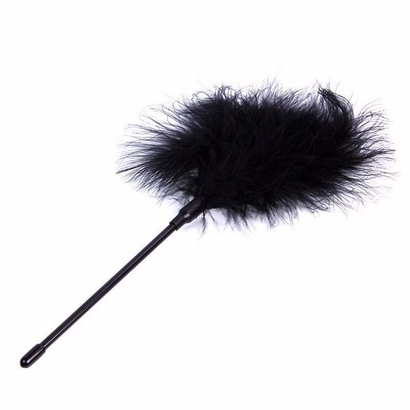 'Let's Try Something New' BDSM Starter Kit