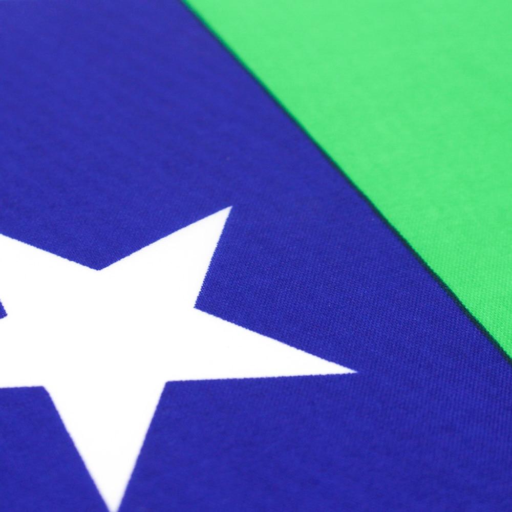 USA Gay Pride Flag