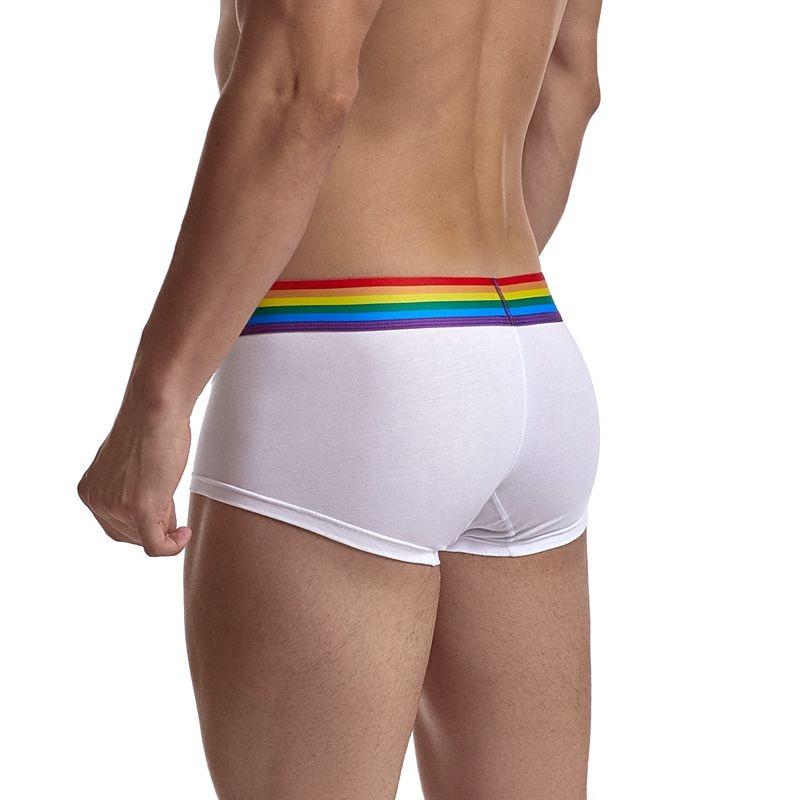 Jockmail Pride Gay Boxer Briefs