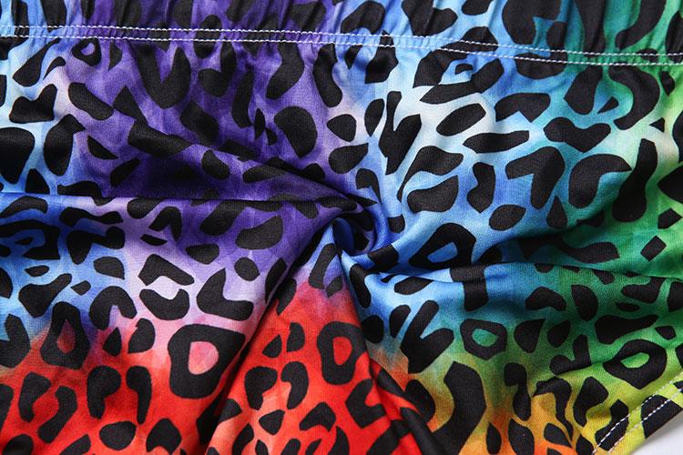 Rainbow Leopard Print Swim Briefs