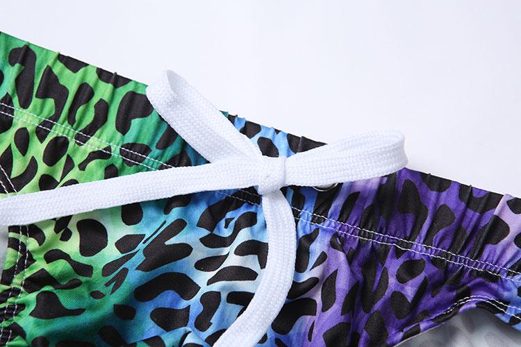 Rainbow Leopard Print Swim Briefs