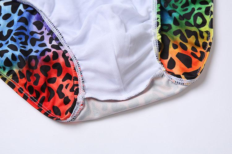 Rainbow Leopard Print Swim Briefs
