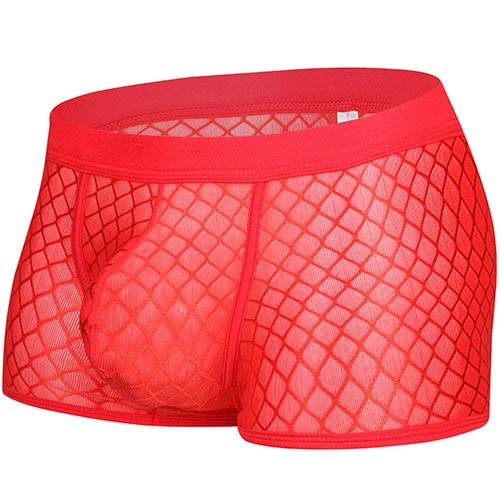 Transparent Mesh Boxers
