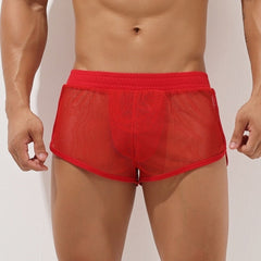 Short Mesh Shorts