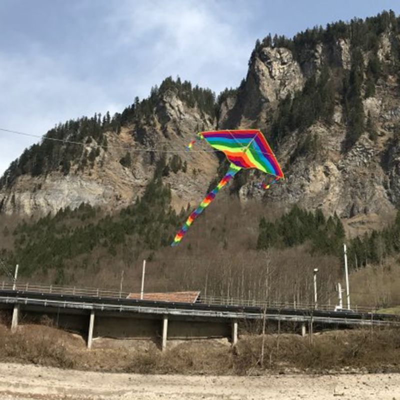 Long Tail Rainbow Pride Kite