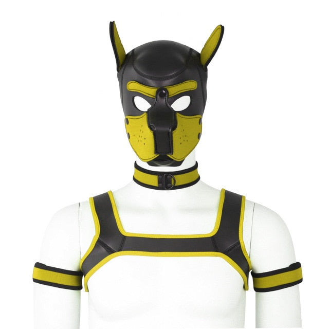 Neoprene Gay Pup Gear Starter Kit