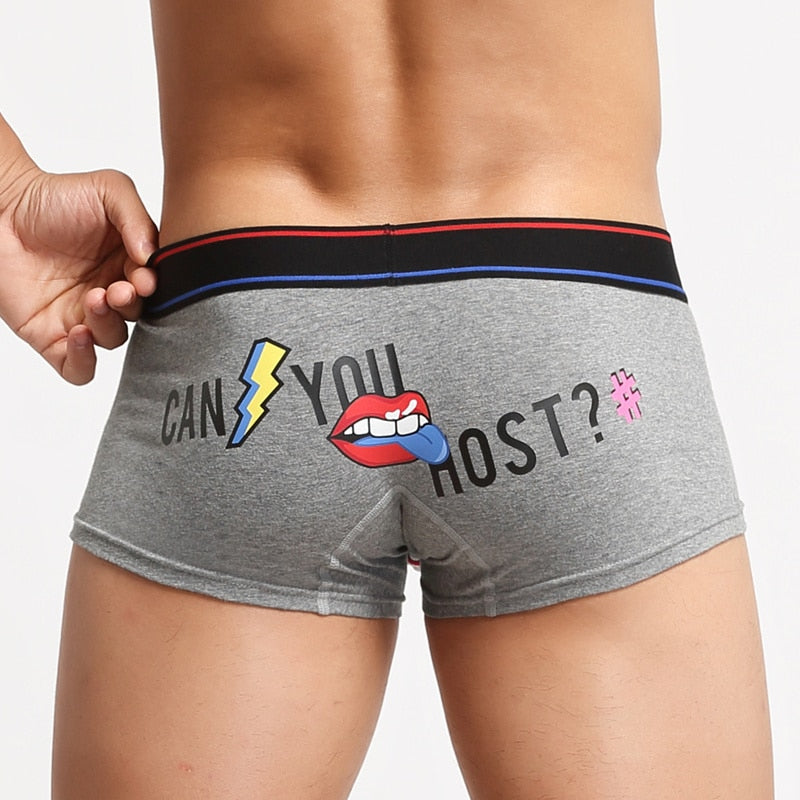 Can You Host Boxers