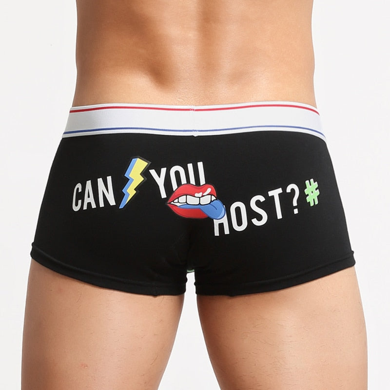 Can You Host Boxers