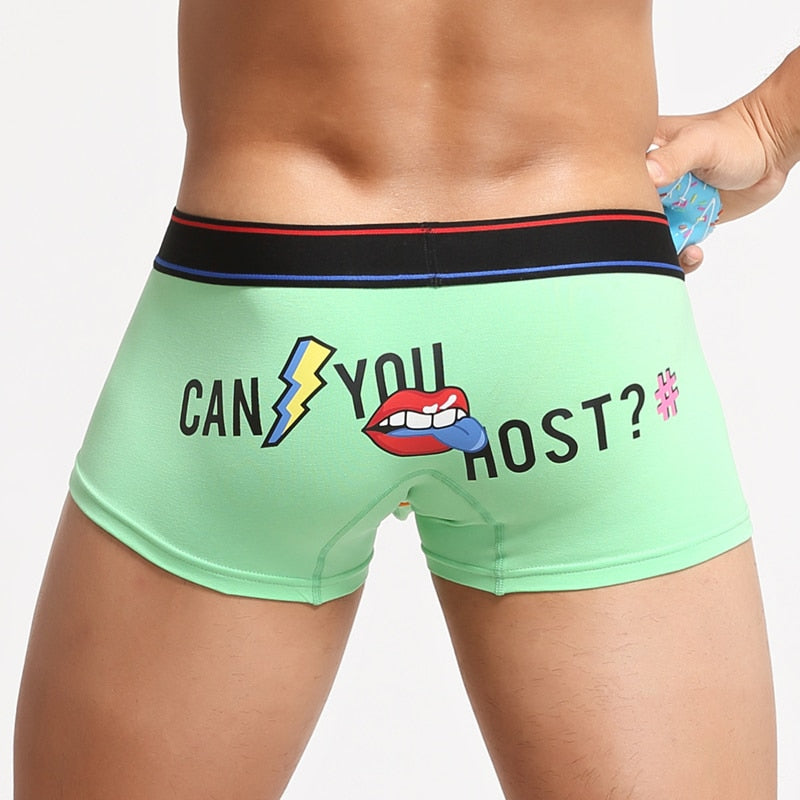 Can You Host Boxers