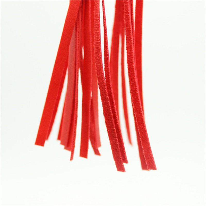BDSM Fetish Whip