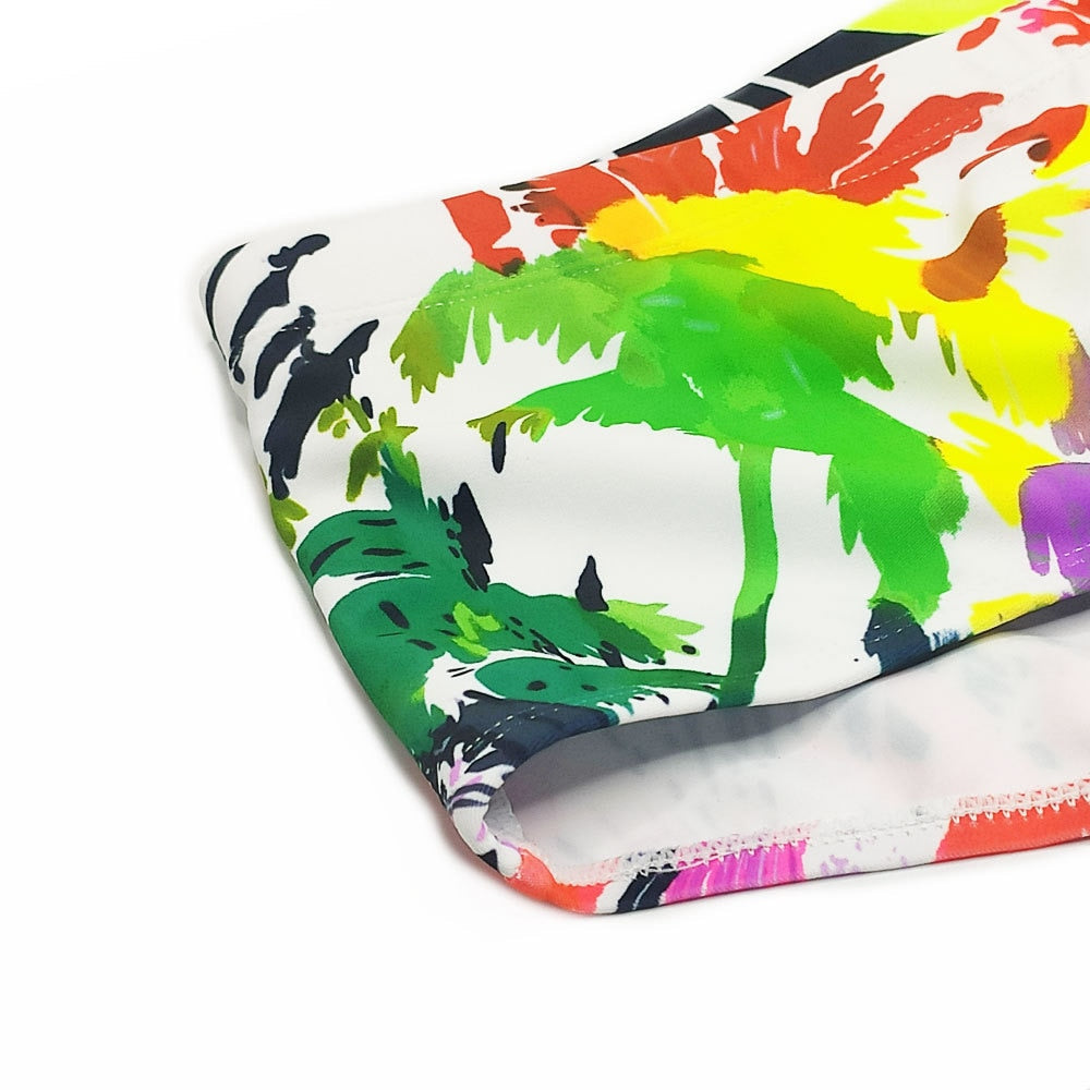 Queer Palm Fantasy Swim Briefs