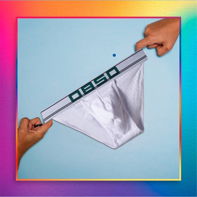 OBSO Low Waisted Briefs