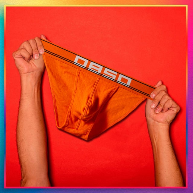 OBSO Low Waisted Briefs