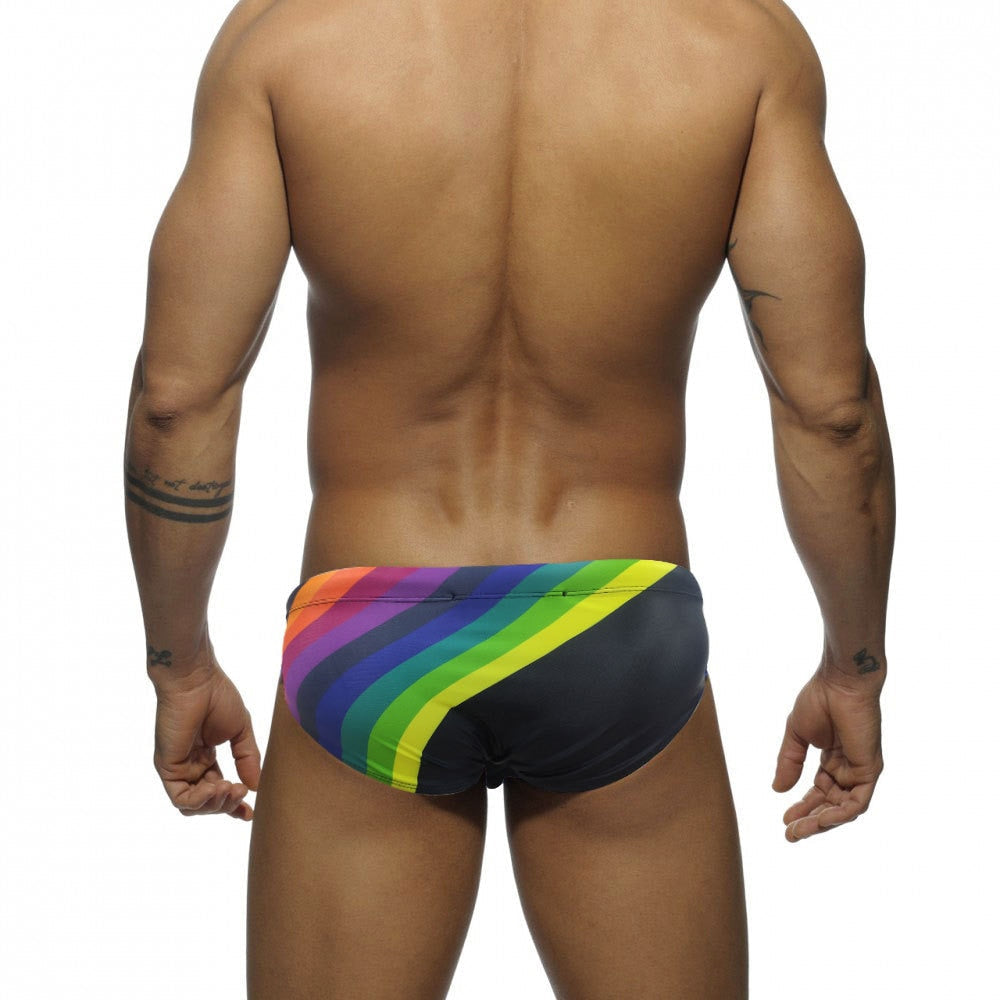 Rainbow Striped Swim Briefs