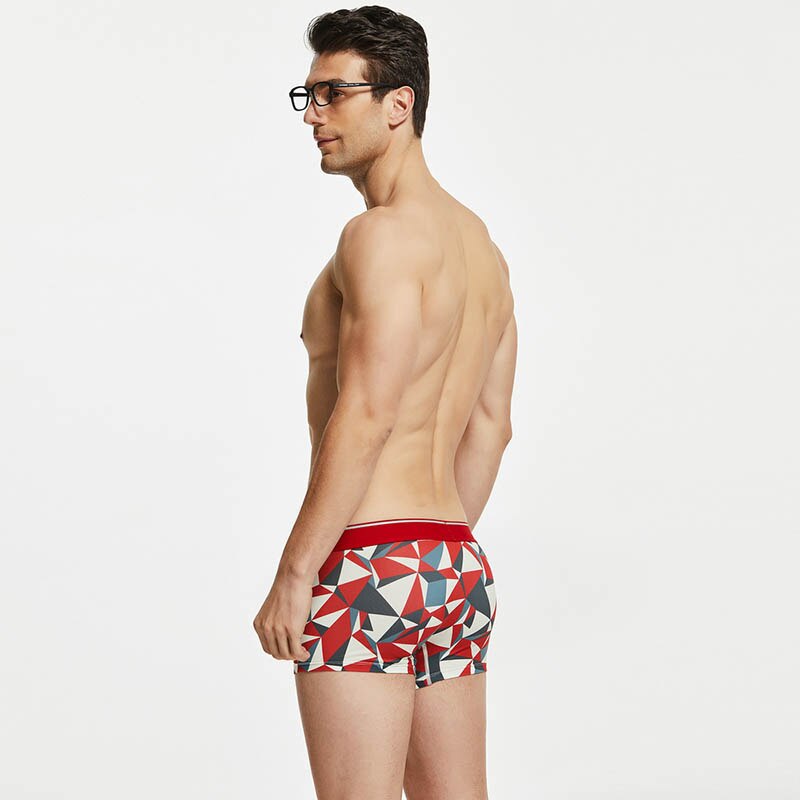 Seobean Geometric Boxers