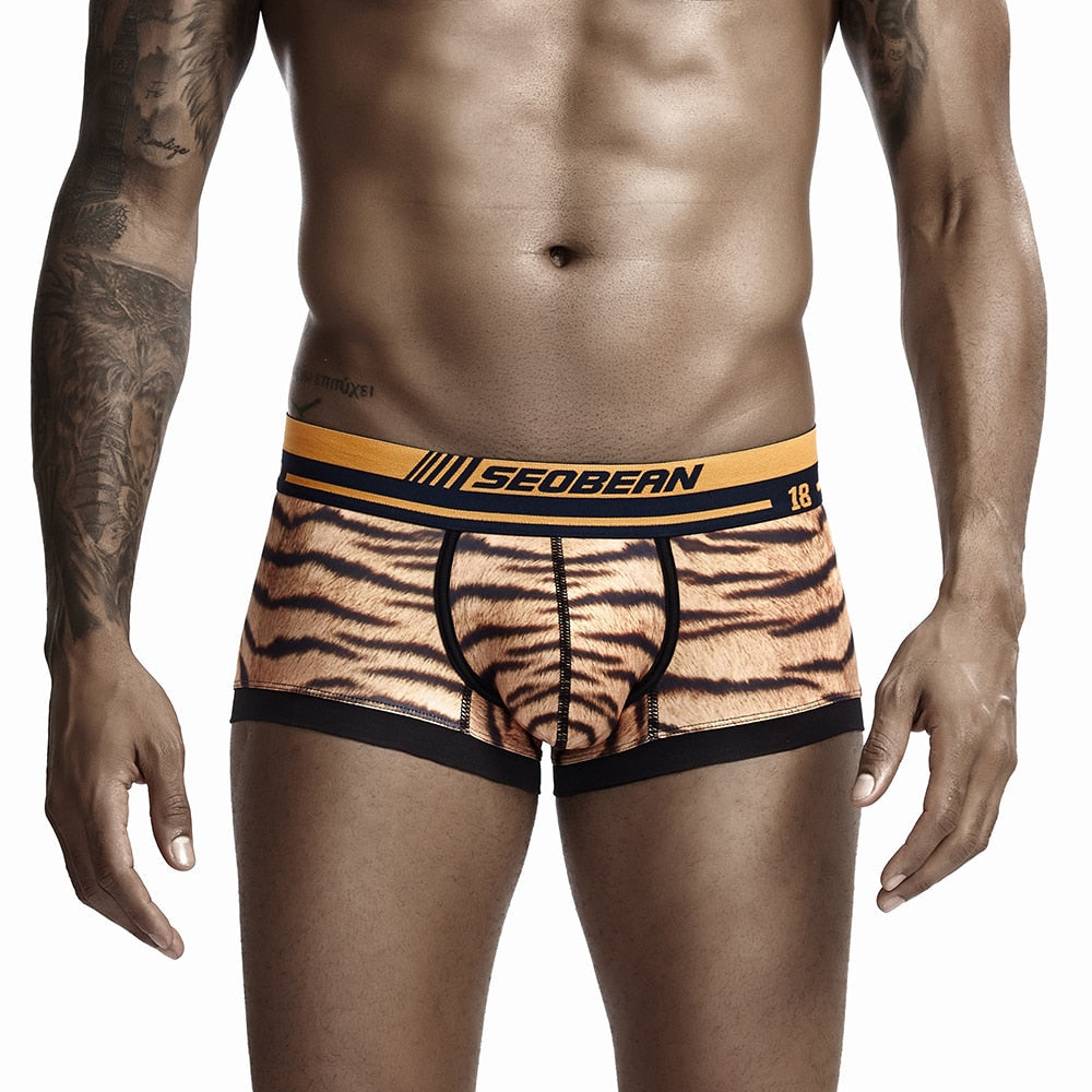 Seobean Tiger Boxers