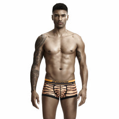 Seobean Tiger Boxers
