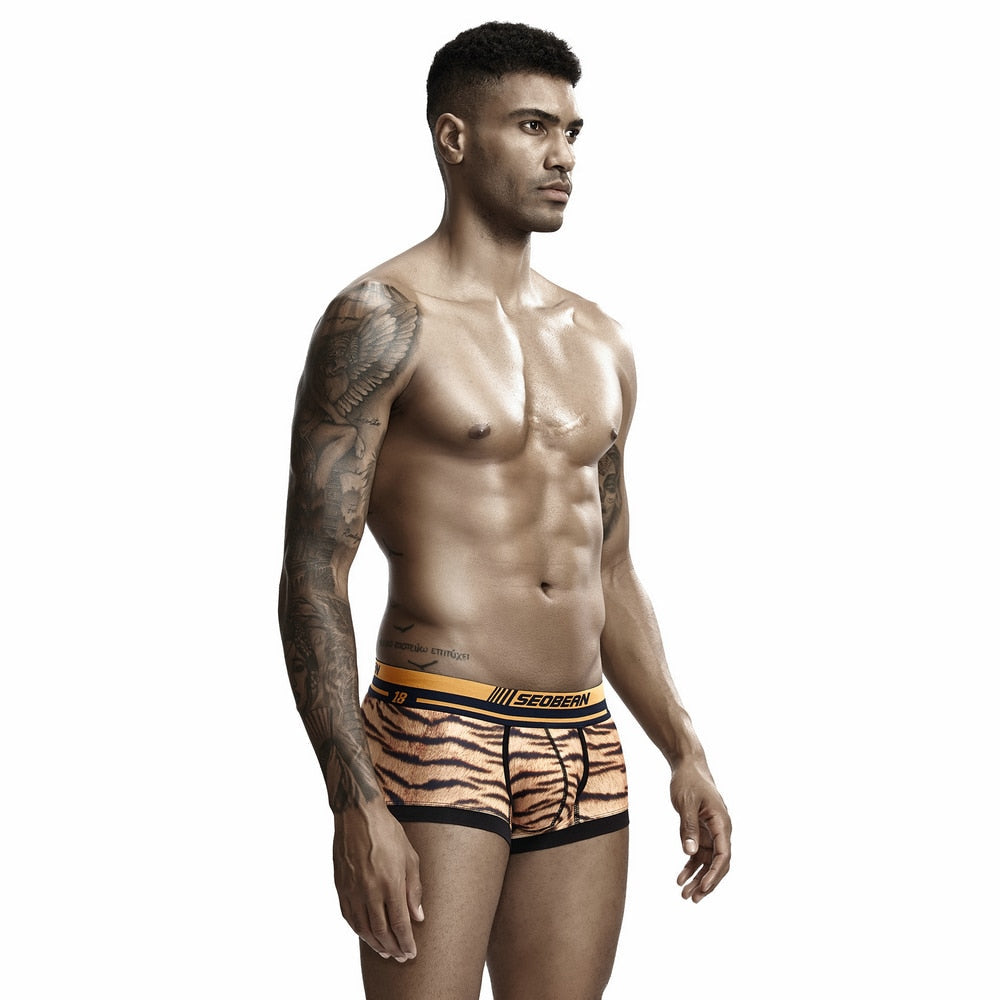 Seobean Tiger Boxers