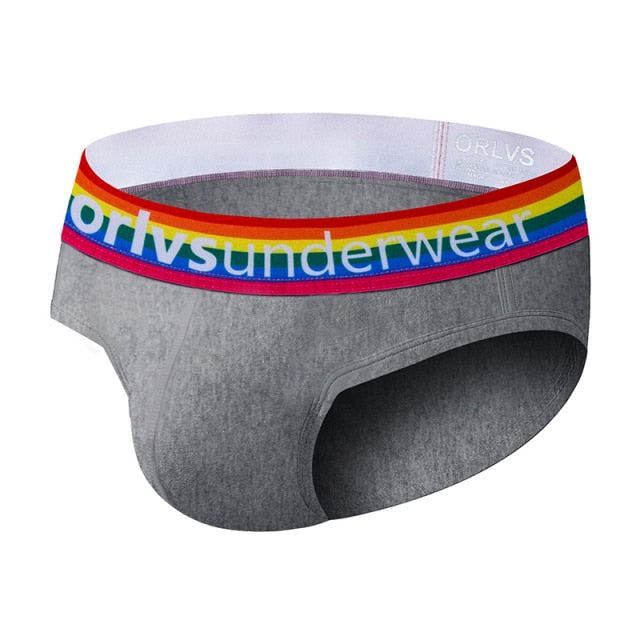 ORLVS Pride Briefs