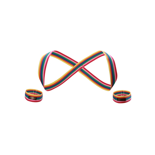 Rainbow Pride Elastic Harness
